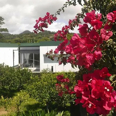 Holiday Homes Quinta De Santa Barbara Lagoa Pdl01016 Fya לגואה